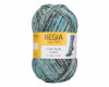 Handstrickgarn COOL STYLE COLOR, Sockenwolle, Schachenmayr Regia blau-grau