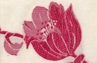 1 m Reststück Jacquardband TULPEN, 6 cm breit, Kafka...