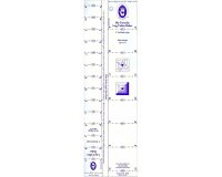 Quiltlineal LOG CABIN RULER, 1 und 2 Inch, Marti Michell