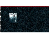 85-cm-Panel Sweatstoff WOODLAND by Thorsten Berger, Schrift, petrol