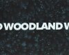 Sweatstoff WOODLAND by Thorsten Berger, Bäume, petrol