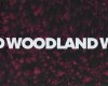 Sweatstoff WOODLAND by Thorsten Berger, Bäume, fuchsia