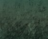Pannesamtstoff VELURO, tannengrün