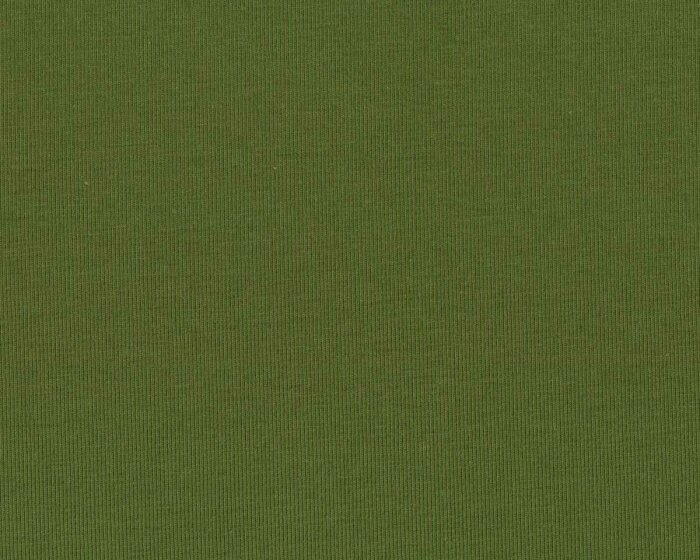 Baumwolljersey VANESSA, einfarbig, helles moosgrün, Swafing