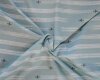 Baumwolljersey SKYLAB, Flugzeuge, stumpfes hellblau, Hilco