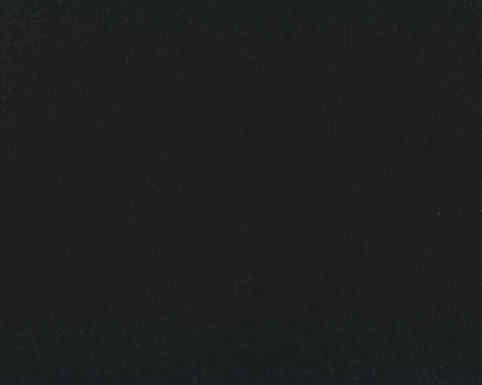 80 cm Reststück Viskose-Sweatstoff STEVE, einfarbig, schwarz, Toptex