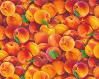 45 cm Reststück Patchworkstoff FOOD FESTIVAL,...