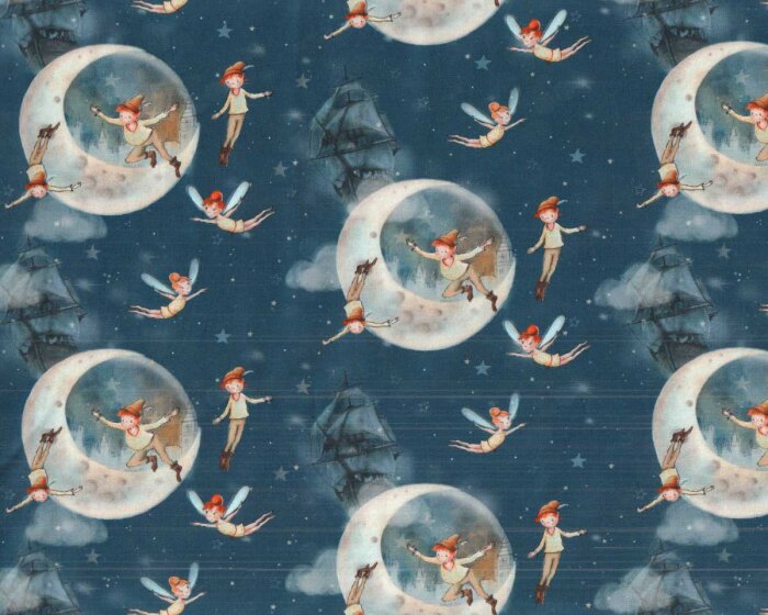 Baumwolljersey JERRY, Pirat und Fee, dunkelblau, Swafing