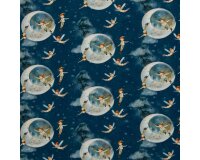 Baumwolljersey JERRY, Pirat und Fee, dunkelblau, Swafing