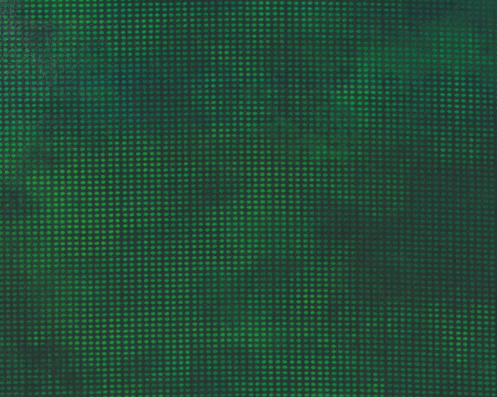 70 cm Reststück Patchworkstoff DIT DOT EVOLUTION, Raster, moosgrün, In The Beginning