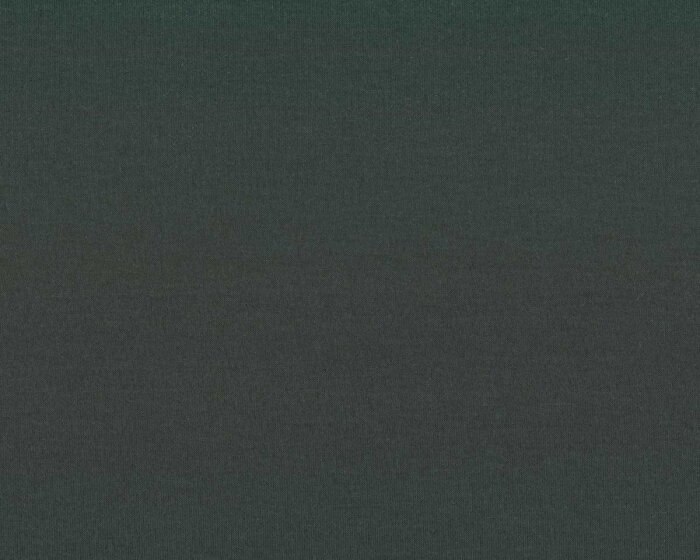 Jersey aus TENCEL™ Lyocell, flaschengrün, meetMILK