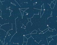 60 cm Reststück Baumwolljersey ASTRA, Sternbilder,...