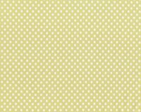 60 cm Reststück Baumwollflanell SWEET BABY, Punkte,...