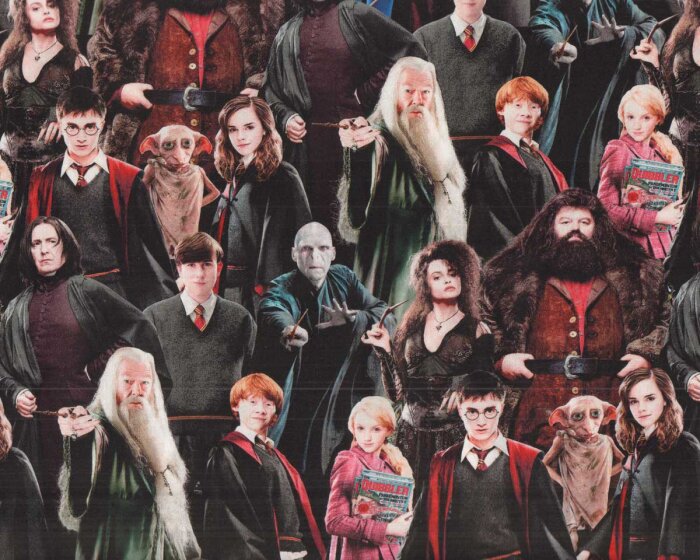 Rückseitenstoff HARRY POTTER, Professoren und Schüler, Benartex