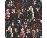 Rückseitenstoff HARRY POTTER, Professoren und Schüler, Benartex