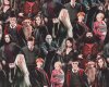Rückseitenstoff HARRY POTTER, Professoren und Schüler, Benartex