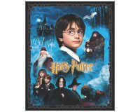 95-cm-Panel Patchworkstoff HARRY POTTER, Filmfiguren,...
