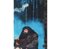 95-cm-Panel Patchworkstoff HARRY POTTER, Filmfiguren, Benartex