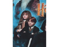 95-cm-Panel Patchworkstoff HARRY POTTER, Filmfiguren, Benartex