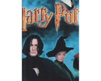 95-cm-Panel Patchworkstoff HARRY POTTER, Filmfiguren, Benartex