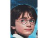 95-cm-Panel Patchworkstoff HARRY POTTER, Filmfiguren, Benartex