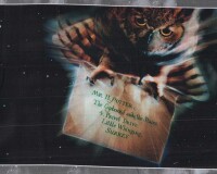 90-cm-Panel Baumwollstoff HARRY POTTER, Kissenhüllen, Benartex