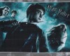90-cm-Panel Baumwollstoff HARRY POTTER, Kissenhüllen, Benartex