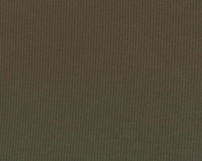 40 cm Reststück Feinripp-Modaljersey FANTASTIQUE, olivgrün, burda style