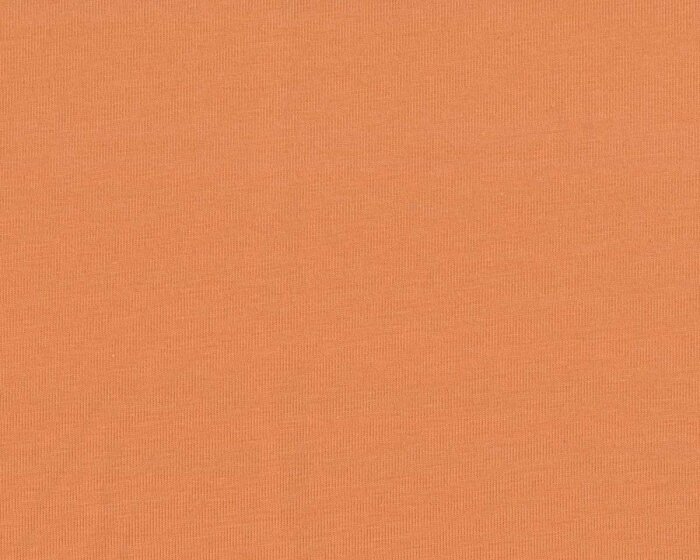 Baumwolljersey AVALANA SOLID, einfarbig, aprikot