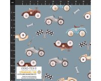 Baumwolljersey AVALANA RACERS, Rennautos und Flaggen, taubenblau