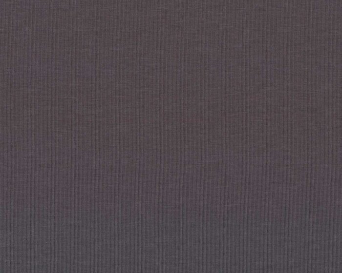 55 cm Reststück Baumwolljersey VANESSA, einfarbig, grau, Swafing