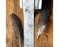 Webband VOGELLIEBE, Kerstin Heß, Acufactum