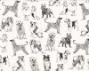 70 cm Reststück Patchworkstoff PET SKETCH, Hunde, weiß-schwarz