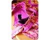 1 Restexemplar Pat Bravo - Sewing Patterns mit CD "Capri Bag", Taschen-Schnitt, große Schultertasche